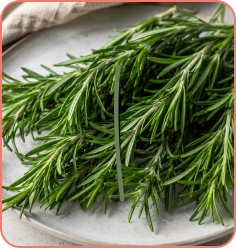 Rosemary