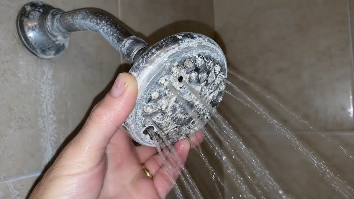 Hand holding a showerhead crusted with white mineral buildup from tap water