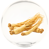 Korean red ginseng