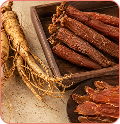 Korean Red Ginseng