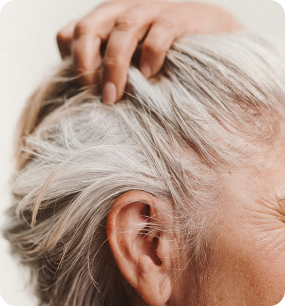 Aging