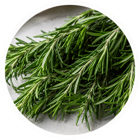 Cold-Pressed Rosemary OIl