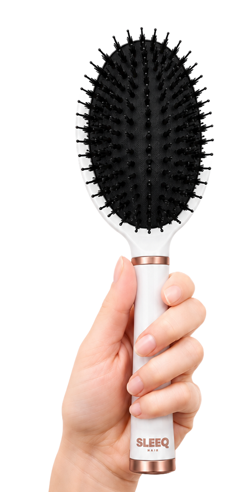 Bristles, cushion and handle of the brush